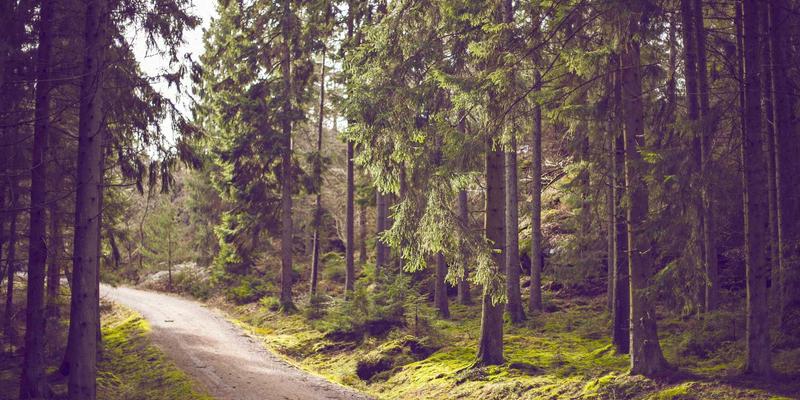 NetDevOps实战：基于GitOps的网络配置管理与CI/CD流水线构建