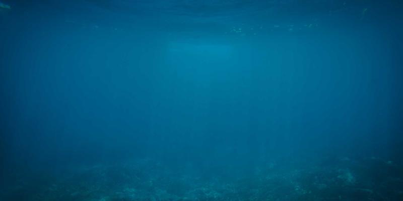 从设计灵感到后端编程:网络技术发展的三位一体演进