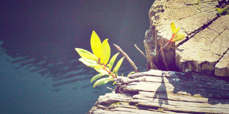 前端开发者必读：5G专网中网络切片如何实现业务隔离与资源保障