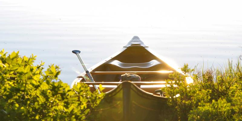 卫星互联网与5G融合组网：前端开发者必须了解的架构变革与资源