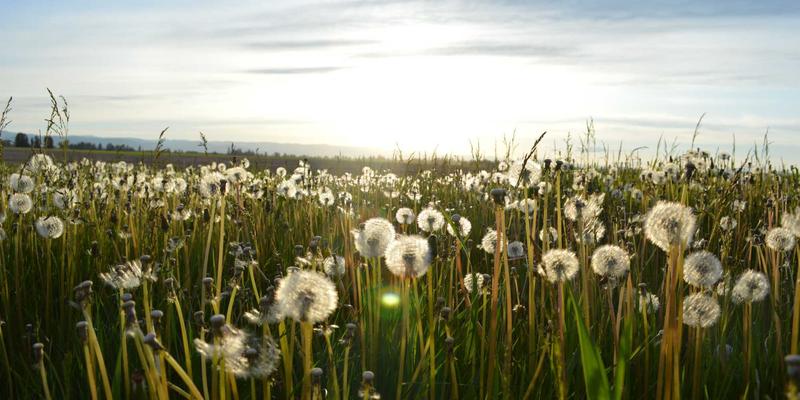 基于意图的网络(IBN)原理与企业级实践：赋能前后端开发的智能资源管理