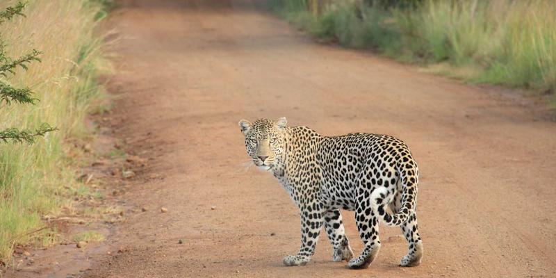 编程世界的前后端开发：技术分野与协同之道