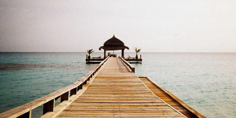 网络技术32：深入解析前后端开发的核心差异与协同编程之道