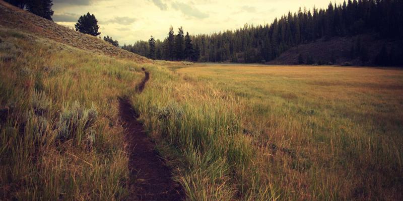 网络技术70:资源分享与技术博客如何赋能前端开发进阶之路