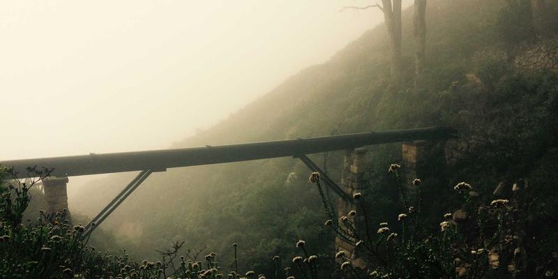 网络技术81：设计灵感如何驱动前端开发的创新与突破