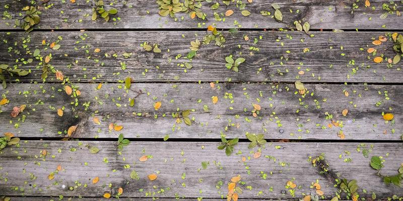 网络技术是什么？从编程到资源分享的技术生态全景解析