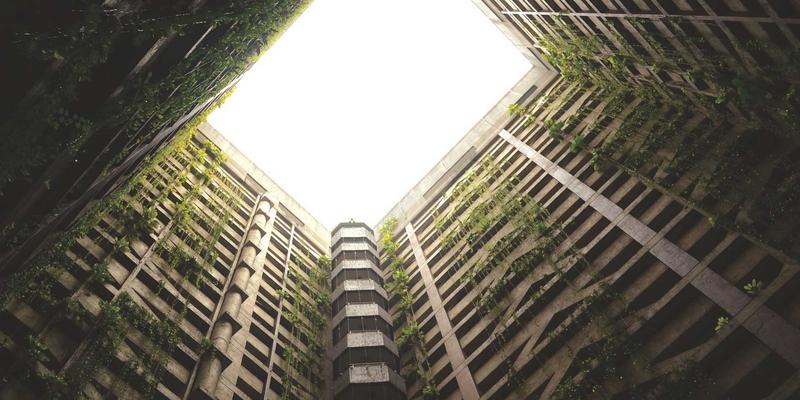 网络技术、编程与前端开发：构建数字世界的核心三角