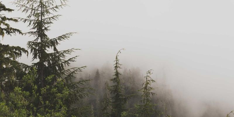 边缘计算网络架构设计：应对低延迟与海量数据的前沿挑战